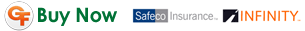 Buy Auto Insurance in Lutz Florida